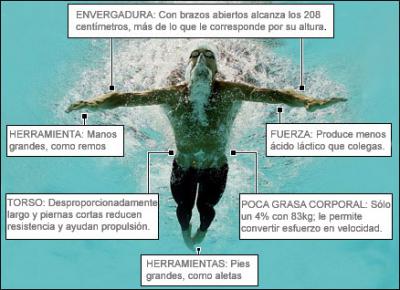 La importancia de la nutrición en los nadadores